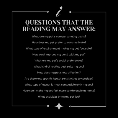 Professional Pet Reading | Pet Owner Guide