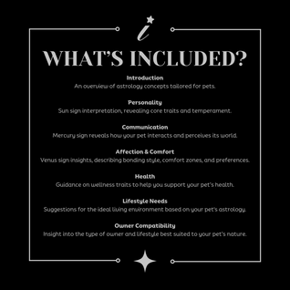 Professional Pet Reading | Pet Owner Guide